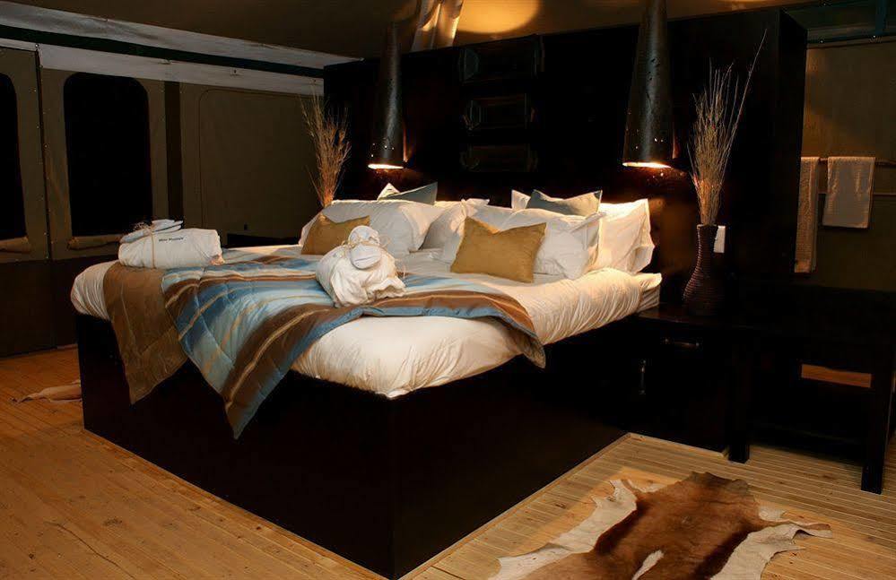 Moon Mountain Lodge Constantia Exteriör bild